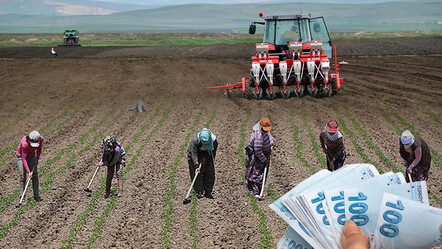 Emekli çiftçide ikramiye endişesi! Üretici 5.000 TL için kayıt sildirdi, yeni müjde çağrısı geldi - ekonomi