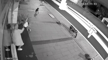 Sokak köpeklerinin saldırısına uğrayan kadın dehşeti yaşadı - gundem