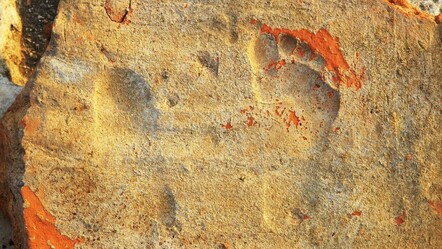 Gladyatörler kenti Muğla'da 1900 yıllık çocuk ayak izleri gün yüzüne çıkarıldı - yasam