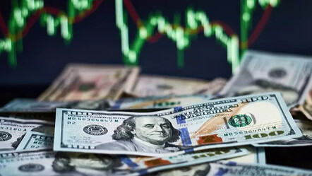 Merkez Bankası'ndan yıl sonu enflasyon ve dolar kuru tahmini - ekonomi