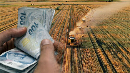 Çiftçileri yakından ilgilendiriyor: 168 milyon TL'lik ödemeler bugün hesaplarda - ekonomi