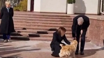 Moldova liderinin köpeği Avusturya Cumhurbaşkanı'nı ısırdı - dunya