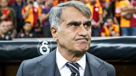 Şenol Güneş'e yurt dışından sürpriz teklif! Federasyon Belçika maçı sonrası Türk hocada karar kıldı - spor