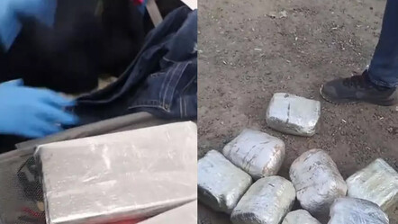 Zehir tacirlerine geçit yok: Bakan Bolat 2 noktadaki büyük operasyonu duyurdu - gundem