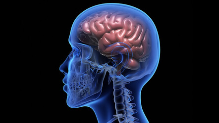 Beyinde üretilen ‘yavaş dalgalar’ epilepsiye karşı koruma sağlayabilir - saglik