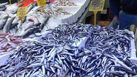 Fiyatı 150 TL'ye kadar yükselen hamsinin fiyatını duyan akın etti: 3'er 4'er kilo aldılar - ekonomi