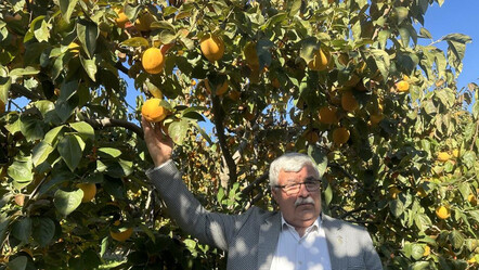 Köylünün geçim kaynağı oldu, bir ağaçtan 1.500 TL gelir elde ediliyor! Duyan yetiştirmek istiyor - yasam