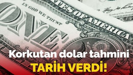 Yastık altında dolar saklayanlar dikkat! Ünlü ekonomist tarih verip uyardı, dolar 45 TL olacak - ekonomi