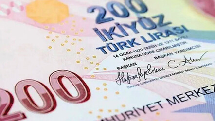 Gaye Erkan imzalı 200 liralık banknotlar tedavülde - ekonomi