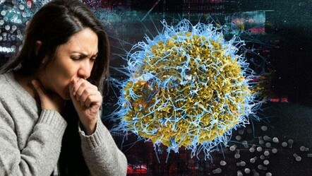 Hindistan ve Çin’i kasıp kavurmuştu… Şimdi de Avrupa’ya sıçradı! 'Gizemli virüs' Türkiye'yi etkiler mi? - dunya