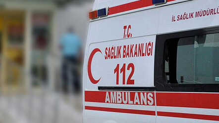 Sahipsiz köpek sokakta dehşet saçtı! Saldırıya uğrayan çocuk tedavi altına alındı - gundem