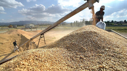TMO'dan hububat alımında deprem bölgesindeki üreticilere öncelik - ekonomi