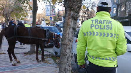 At arabası, otomobillere karşı! 5 aracı pert etti... Vatandaşlar gözlerine inanamadı - gundem