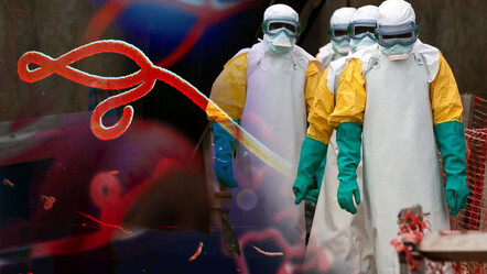 DSÖ'den 5 ülkeye korkutan salgın uyarısı! Hızla yayılıyor... - gundem