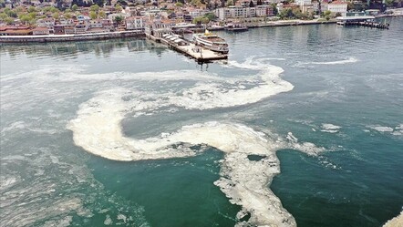 Marmara Denizi alarm veriyor! Müsilaj kabusu geri mi döndü? - gundem