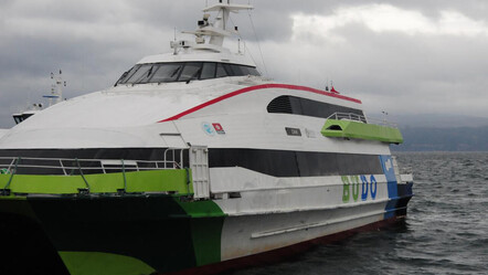 İDO ve BUDO'dan peş peşe sefer iptalleri - gundem