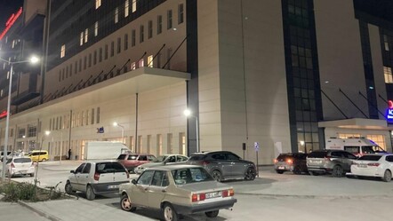 Burdur’da sokak köpeği terörü! Üniversite öğrencisi dehşeti yaşadı - gundem