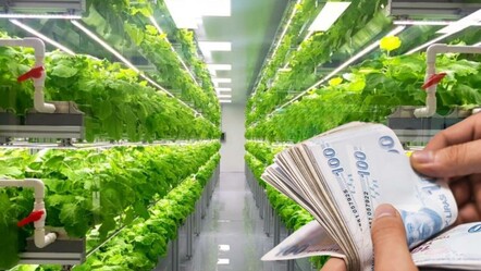 Tarım devi iflas etti! Krize daha fazla dayanamadılar, yüzlerce çalışan işsiz kaldı - ekonomi