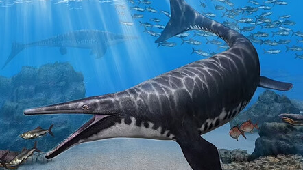 Bilim insanları 'daha önce böylesini görmedik' diyor! 'Mavi Ejderha' 72 milyon yıl önce resmen terör estirmiş - teknoloji