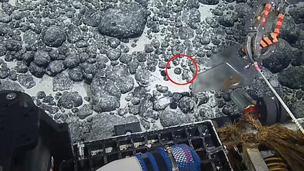 Diş minesi bile hala duruyor... Bilim insanları 3,5 milyon yıllık megalodon dişi buldu - teknoloji