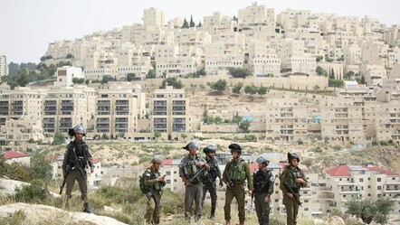 Yahudi işgalciler, Filistinlilerin diktiği zeytin ağaçlarını söktü - dunya