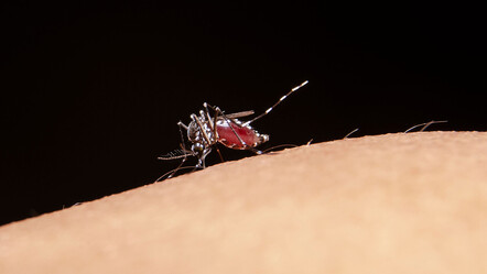 DSÖ’den uyarı: Dünya nüfusunun yarısı risk altında - dunya