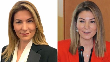 Fatma Özkul kimdir? Resmi Gazete kararıyla Merkez Bankası PPK üyeliğine atanan Fatma Özkul kaç yaşında, nereli? - ekonomi