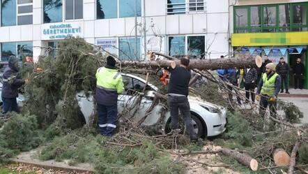 Kocaeli'de fırtına felaketi: Deniz taştı, devrilen ağaçlar otomobilleri ezdi - gundem