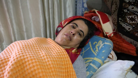 Hatay'da yasaklı ırk köpekler dehşet saçtı: Talihsiz kadın 37 dikişle taburcu edildi - gundem