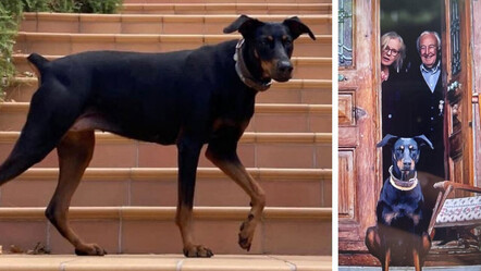 Korhan Berzeg kaçırıldı mı? Tina'nın davranışında dikkat çeken değişiklik - gundem