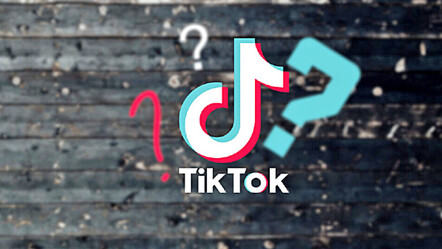 Vekiller sordu, TikTok’un cevapları şaşırttı! - politika