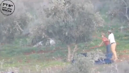 Önce evleri sonra malları! İsrailli yerleşimciler şimdi de Filistinlilerin zeytinlerine göz dikti - dunya