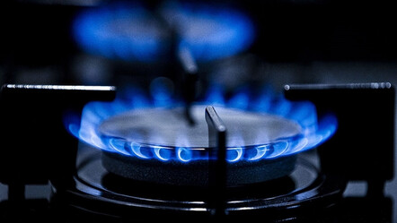 Bakan Bayraktar müjdeyi verdi, bu kış doğalgaza zam yok! - ekonomi