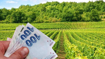 Destekler meyvesini verdi! Tarım sektörü 2023'ü de rekorla kapattı - ekonomi