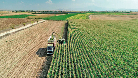 Tarladan Avrupa marketine planlı tarım - ekonomi