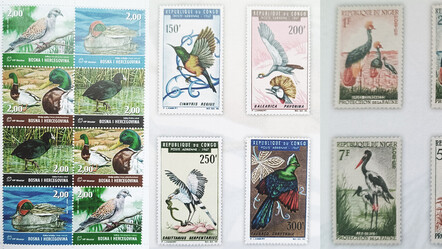 Kuş merakı dev pul koleksiyonuna dönüştü - ekonomi