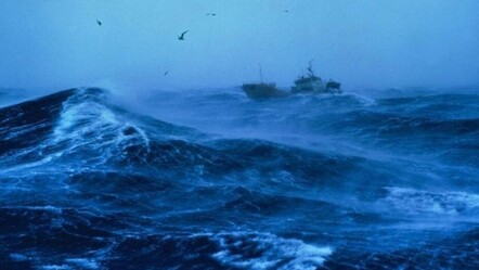 4.500 yıldır denizin altında saklanıyor! Dünyanın en büyük canlısı - gundem