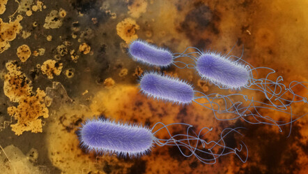 Et yiyen bakteri vakaları pik yaptı - teknoloji