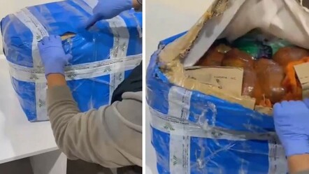 İstanbul Havalimanı'nda 'zehir taciri' operasyonu: 568 kilogram uyuşturucu ele geçirildi - ekonomi