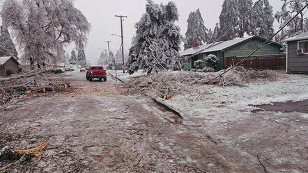 Kutup soğukları ve kar fırtınası hayatı felç etti! ABD'de bilanço artıyor - dunya