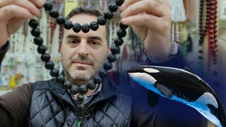 Parfüm sektöründe bile kullanılıyor: Balina kusmuğundan tespihin fiyatı dudak uçuklattı - kultur-sanat