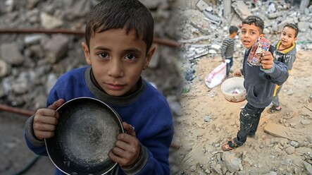Yabani ot yiyerek hayatta kalıyorlar! Gazze'nin kuzeyindeki durum her geçen gün kötüleşiyor... - dunya