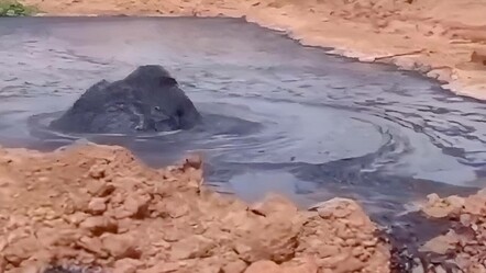 Bahçesinden petrol fışkırdı denilmişti... O görüntüler sahte çıktı! - guncel