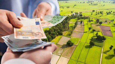 Ev fiyatları uçtu, toprak kıymete bindi! Gurbetçi de arsaya yöneldi - ekonomi