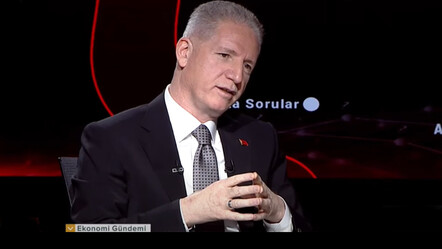 İstanbul Valisi Davut Gül başıboş köpek sorununu 6 ayda çözmek için tek şart koştu - gundem