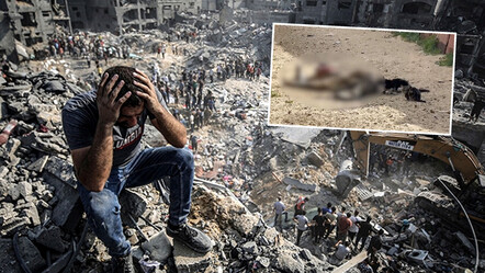 Gazze'de dehşet görüntüler! Filistinlilerin cansız bedenlerini sokak hayvanları yemeye başladı - dunya