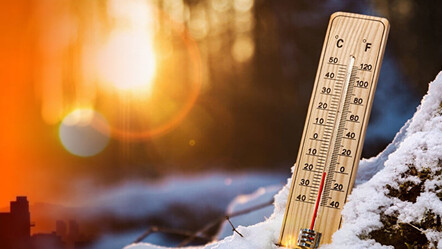 Afrika sıcakları, Türkiye için yola çıktı: Badem ağacı yine aldanacak - gundem