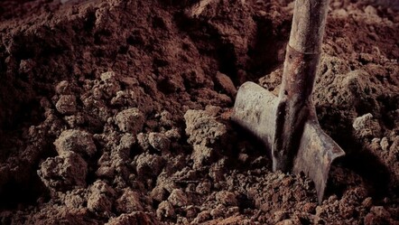 1.700 yıllık kralın mezarından çıkanları görünce korkudan ne yapacaklarını şaşırdılar! - kultur-sanat