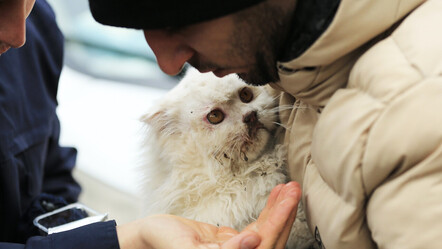 6 Şubat binlerce 'patili dostu' da vurdu: Deprem bölgesindeki hayvanlar hâlâ yardıma muhtaç - gundem