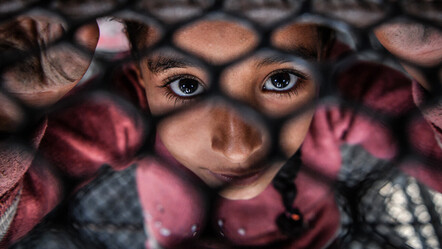 İsrail zulmünden kaçan Filistinli aile, barınmak için tavuk çiftliğine sığındı - dunya